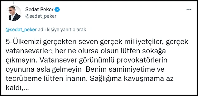 Sedat Peker'den Yangın Paylaşımı: 'HDP’lileri Suçlamak Hangi Akla Hizmet?'