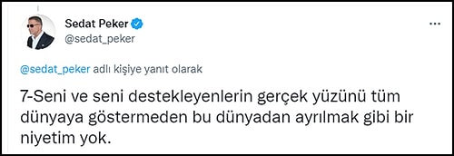 Sedat Peker'den Yangın Paylaşımı: 'HDP’lileri Suçlamak Hangi Akla Hizmet?'