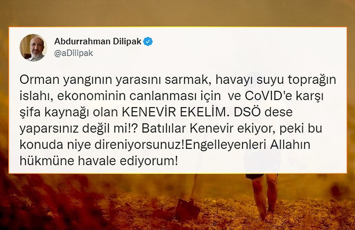 Abdurrahman Dilipak: 'Yangının Yarasını Sarmak İçin Kenevir Ekelim'