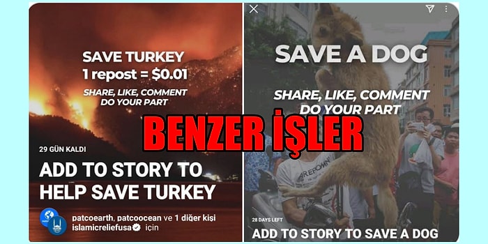 Orman Yangınları Sonrasında Instagram'da Beliren "Save Turkey" Hikayesi Dolandırıcılık Yöntemi mi?