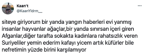 Arama Köpeğini Sevdiği İçin Azar İşitenden Ülkenin Haline İsyan Edene Son 24 Saatin Viral Olan Paylaşımları