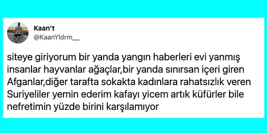 Arama Köpeğini Sevdiği İçin Azar İşitenden Ülkenin Haline İsyan Edene Son 24 Saatin Viral Olan Paylaşımları