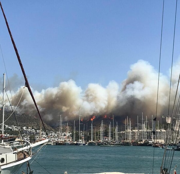 Yangına 1 helikopter, 20'den fazla arazöz ve yangın söndürme ekipleri tarafından müdahale ediliyor.
