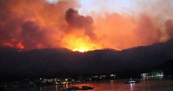 Ardından ülkenin her yerinde dikkatsizlik, mevsimsel nedenler ve iklim krizinin tetiklemesiyle yangınlar başladı.