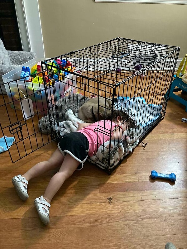 10. Приютили вчера щенка. А сегодня утром увидели эту картину. Что-то нам подсказывает, что нашему двухлетнему ребенку очень понравился новый маленький член семьи