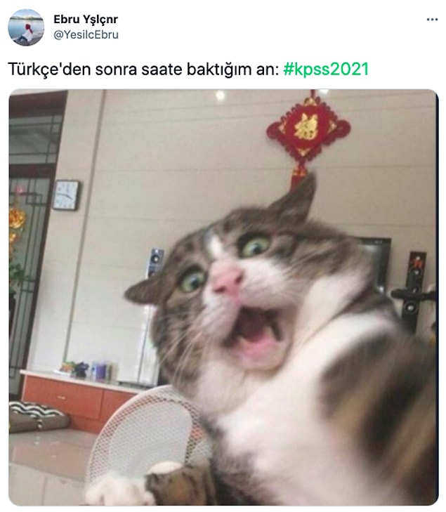 12.
