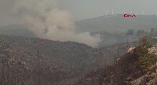Bodrum'da Orman Yangını Mazıköy'e Kadar Ulaştım