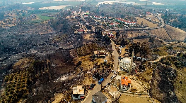 Türkiye'nin birçok yerinde çıkan ve bir türlü kontrol altına alınamayan yangınlarla ciğerlerimiz, evlerimiz yanıyor. Elimizden kahrolmaktan başka bir şey de gelmiyor ne yazık ki!