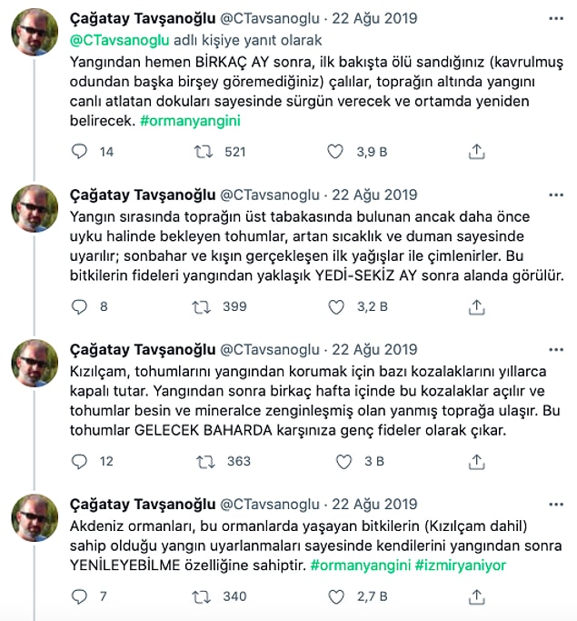 Hacettepe Üniversitesi Öğretim Üyesi Prof. Dr. Çağatay Tavşanoğlu, ağaç dikme seferberliğinin yanlış olduğunu ve bu ormanların kendini yenileyebileceğini söyledi.