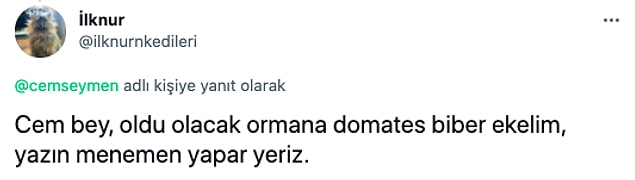 👇