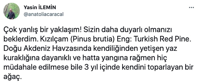 👇