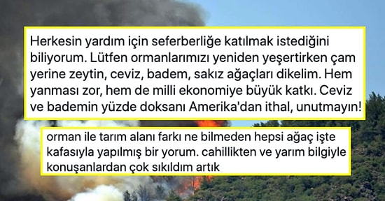 Cem Seymen'in Yeniden Ağaçlandırma İçin Çam Yerine Ceviz Ekme Çağrısı Sosyal Medyanın Gündeminde
