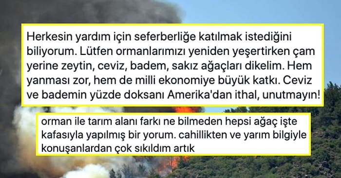 Cem Seymen'in Yeniden Ağaçlandırma İçin Çam Yerine Ceviz Ekme Çağrısı Sosyal Medyanın Gündeminde