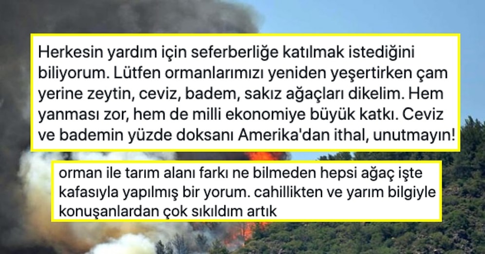 Cem Seymen'in Yeniden Ağaçlandırma İçin Çam Yerine Ceviz Ekme Çağrısı Sosyal Medyanın Gündeminde