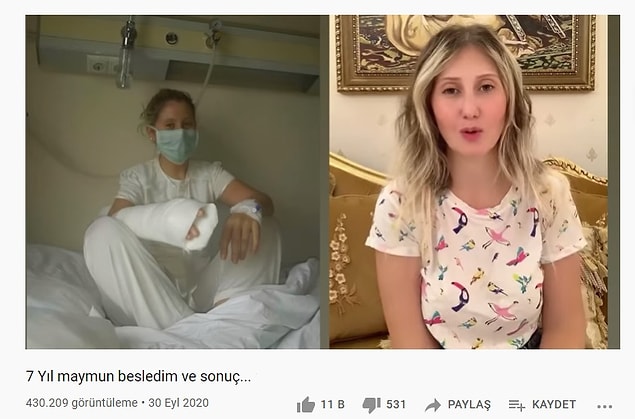 Sizi sahipleri olarak değil de sürülerinden biri olarak gördükleri için kıskanabiliyor, sinirlenip saldırabiliyorlar.