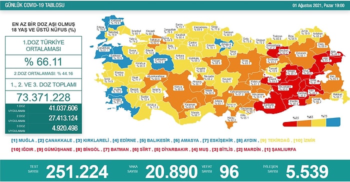 Koronavirüs Türkiye: 20 Bin 890 Yeni Vaka, 96 Ölüm...