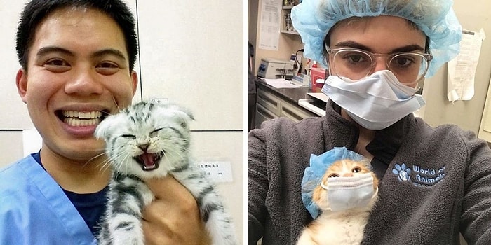 15 случаев, когда ветеринары не смогли устоять перед тем, чтобы не сфотографироваться с невероятно милыми животными