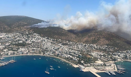 Ortamlarda 'İtiraz' Edersiniz: Ormanların Yağmalanmasının Önünü Açan Kanuna Muhalefet 'Ret' Oyu Vermemiş...