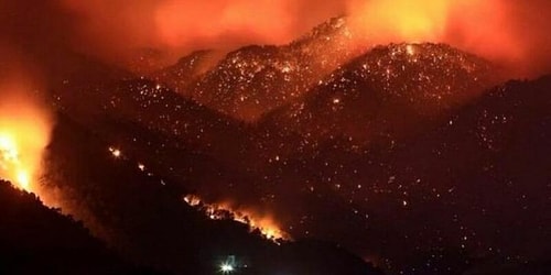 Orman Yangınlarının Bulunduğu Bölgeye Koşup Günlerdir İnsanlara Canla Başla Yardım Eden Ünlüler