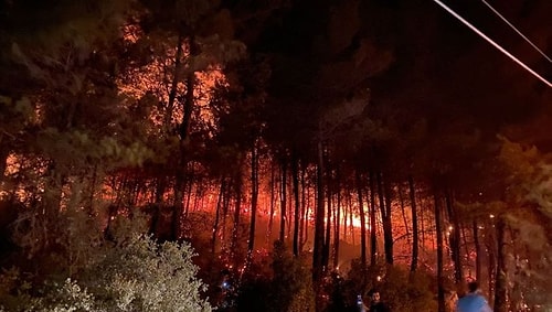 Orman Yangınlarının Bulunduğu Bölgeye Koşup Günlerdir İnsanlara Canla Başla Yardım Eden Ünlüler