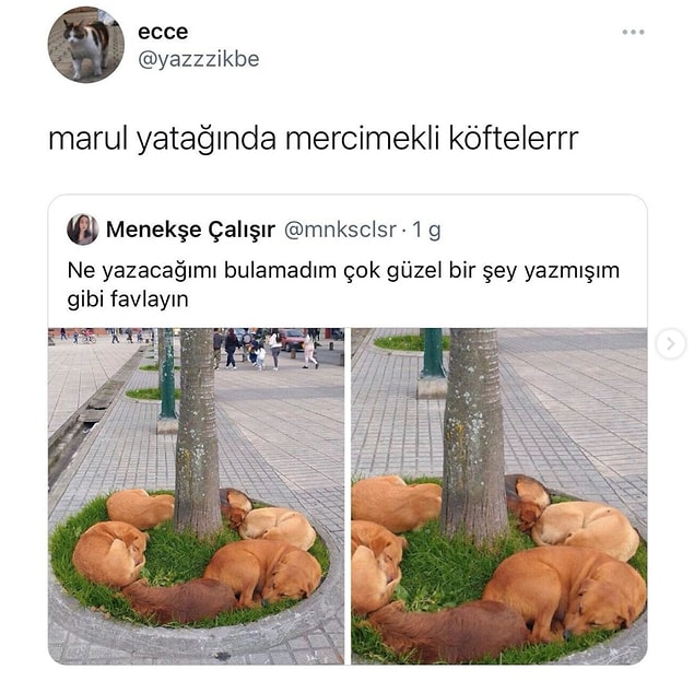 12.