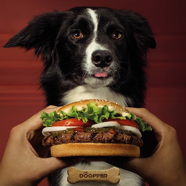 Dogpper içerik olarak nasıl?