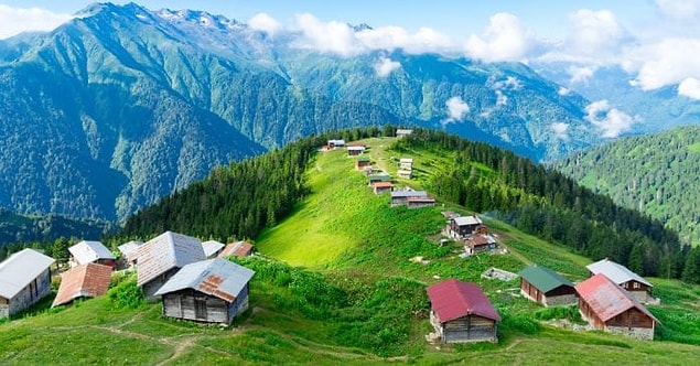 Rize!