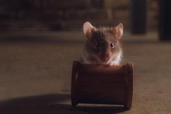 7. Filmdeki ünlü fare Mr. Jingle tek bir karakter gibi görünse de aslında 15 farklı farenin rol aldığı bir karakter.