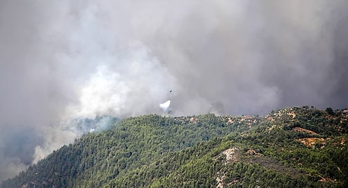 Marmaris'teki Yangının Önünde Alevlerle Dalga Geçerek Doğum Gününü Kutlayan Rus Müzikçi Gündemin Odağında