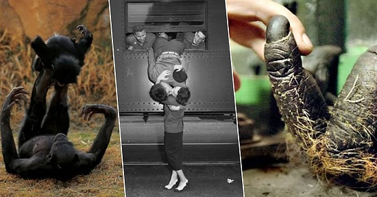 Gülümsemenize Hakim Olamayacağınız 42 Fotoğrafla Hayatın Yürek Isıtan Detayları