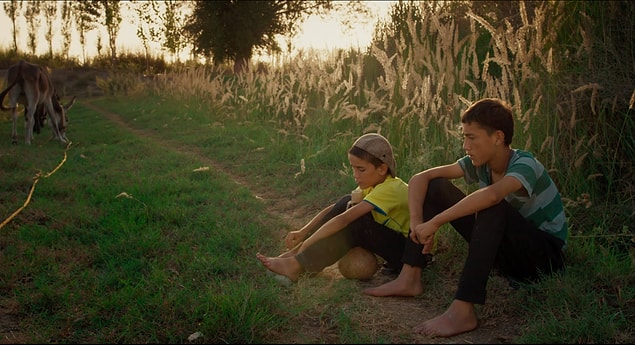 5 Ağustos 21.00 - A First Farewell (İlk Veda)