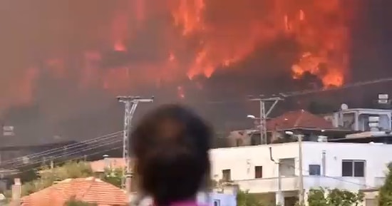 Yılmaz Özdil, Bodrum Çökertme'den Görüntü Paylaştı: 'Acil Uçak Lazım, Acil!'