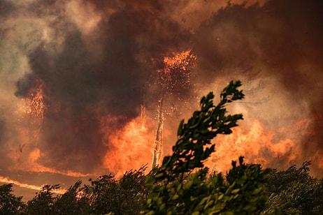 Orman Yangınları 6. Gününde: Antalya, Muğla, Isparta, Denizli ve Adana Yanıyor!