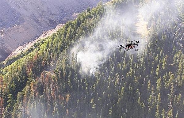 Orman yangınlarında az evvel bahsettiğim üzere dronelar da kilit bir öneme sahip.
