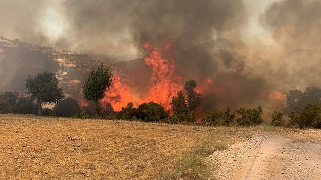 17:06 Muğla’da iki ayrı yangın daha