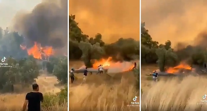 Yangınlar Nasıl Bu Kadar Hızlı Yayılabiliyor? Ağaçtan Fırlayan Kozalağın Saniyeler İçinde Yaktığı Alan