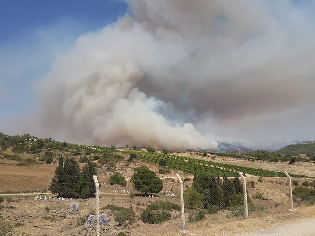 20:00 Adana'da tarlada başlayıp ormanlık alana sıçrayan yangın havadan ve karadan müdahaleyle kontrol altına alındı.