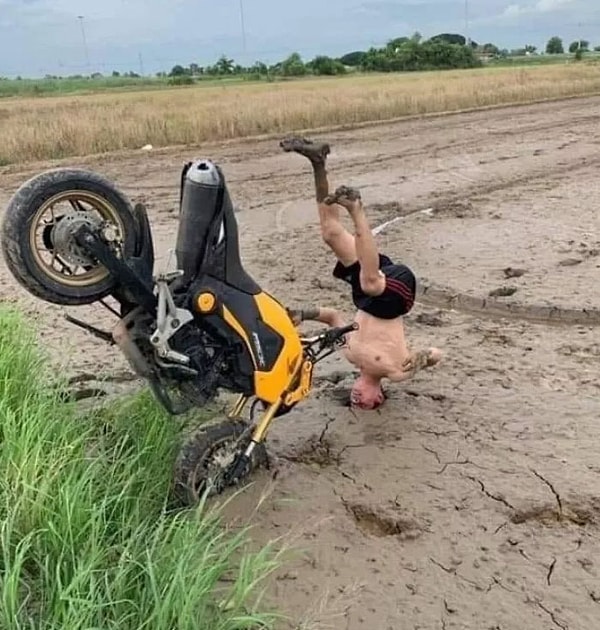 15. Учится стоять на голове