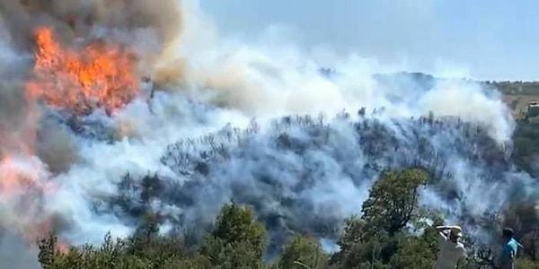 22:13 İzmir'in Gaziemir ilçesinde çıkan orman yangını, ekiplerin müdahalesiyle söndürüldü.