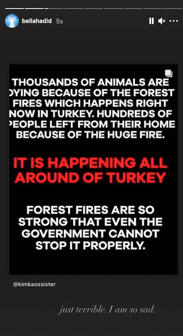 "Şu anda Türkiye'de yaşanan orman yangınları yüzünden binlerce hayvan hayatını kaybediyor. Devasa yangın nedeniyle yüzlerce insan evlerini terk etti."