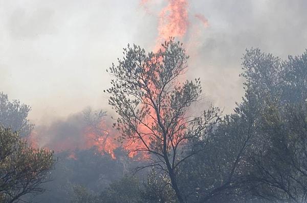 Yangın bölgelerindeki halkımız ise ellerindeki imkanlarla canları pahasına alevlere müdahale etmeye çalışıyor.