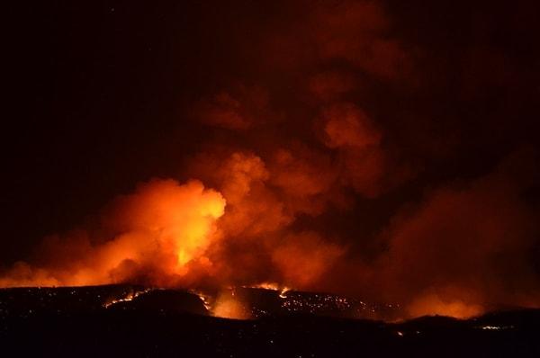 09:33 Vali Yardımcısı Arat: Aydın'daki orman yangını kontrol altına alındı.