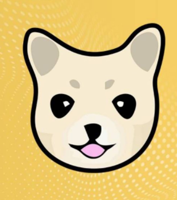 Kishu Inu(KISHU)