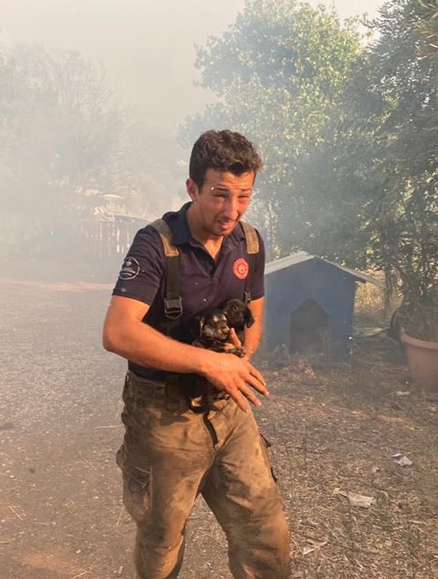 3. Tek ihtiyacımız gerçekten de sevgi...
