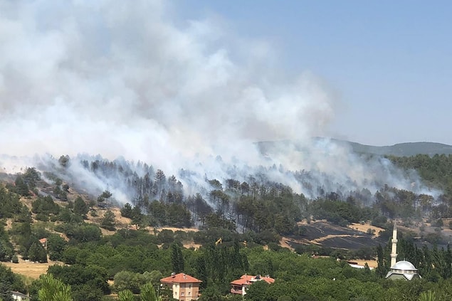 13:30 | Uşak'ta orman yangını çıktı