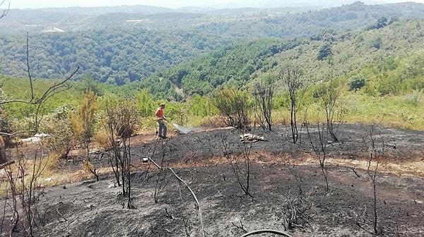 14:39 Zonguldak'ın Ereğli ilçesinde çıkan orman yangını büyümeden söndürüldü.