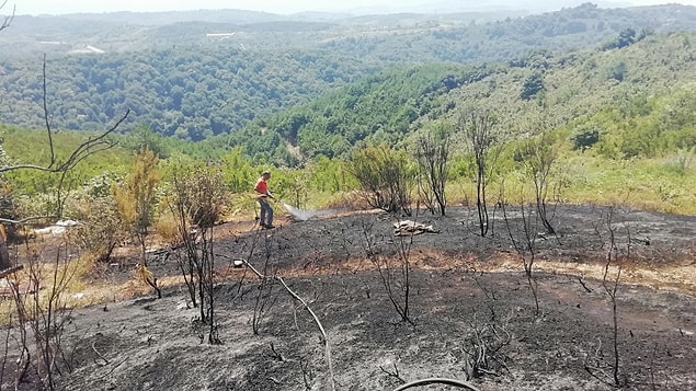 14:39 Zonguldak'ın Ereğli ilçesinde çıkan orman yangını büyümeden söndürüldü.