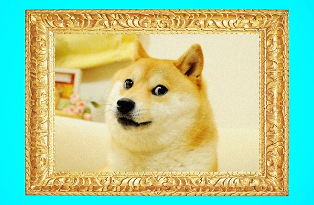 4. DOGE