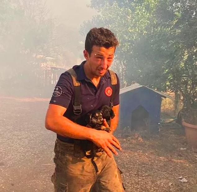 3. Yangından etkilenen ve kurtarılan veya kurtarılmayı bekleyen hayvan dostlarımız için de yapabileceğiniz birçok şey var.