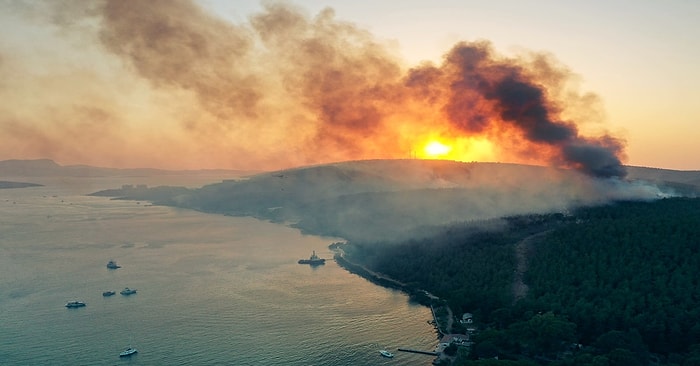 Ece Maia Yazio: Varoluşu Doğadan Öğrenmeli İnsan